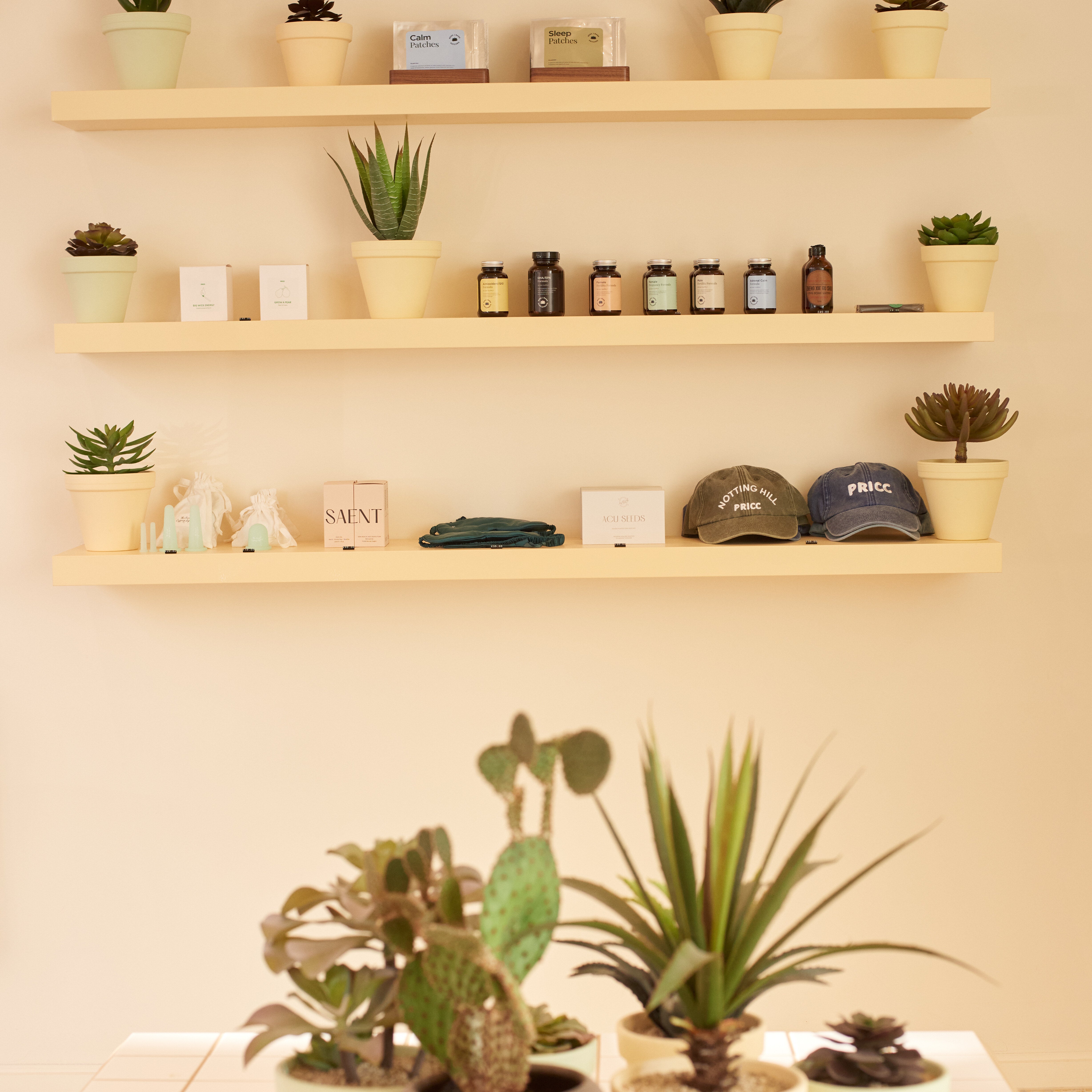 Display Image